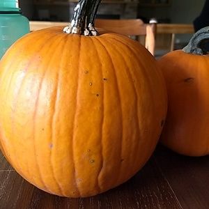 Meet your Posher, Luke